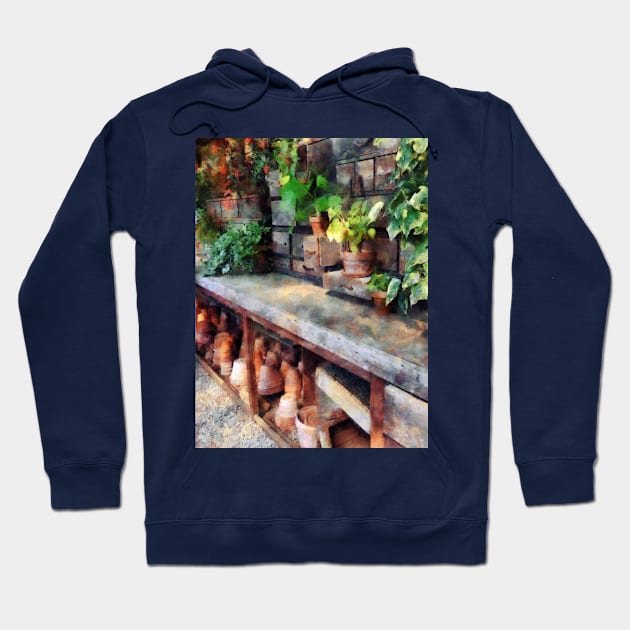 Greenhouse with Flowerpots Hoodie by SusanSavad